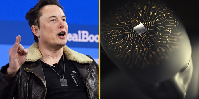 Elon Musk says Neuralink has implanted a wireless chip in someone's brain