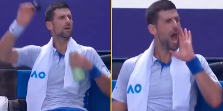 Novak Djokovic yells at own coaching team during Australian Open