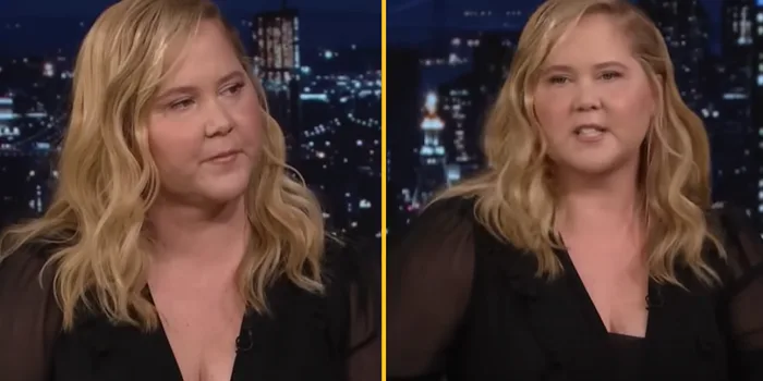 Amy Schumer face
