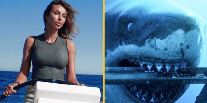 Netflix has just added tense thriller movie about a shark 'high on cocaine'