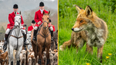 Labour Party vows to fully ban fox hunting
