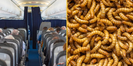Plane forced to make U-turn after maggots rain down on passengers