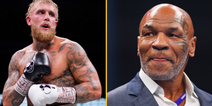 Jake Paul wants to see how hard Mike Tyson hits