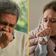 Symptoms of '100-day cough' to look out for as cases surge by 40% in one week