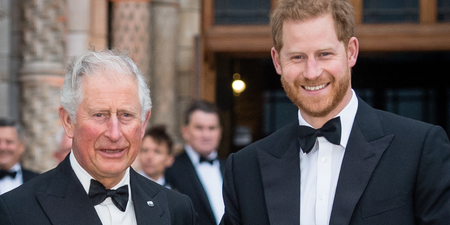 Prince Harry won't meet up with King Charles during visit to UK