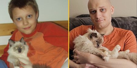 Man recreates photo of himself with childhood cat just before putting him to sleep