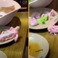 Stomach-churning moment raw meat ‘crawls off table’ at restaurant